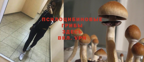 mdpv Арсеньев