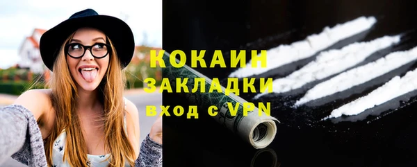 индика Аркадак