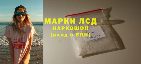 прущие грибы Заволжье