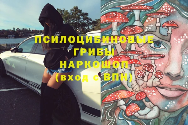 индика Аркадак
