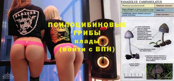 индика Аркадак