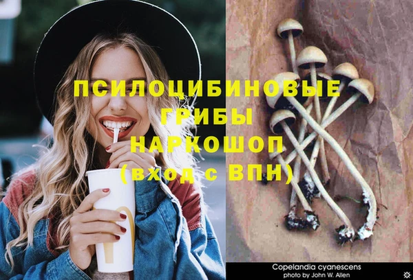 шишки Армянск