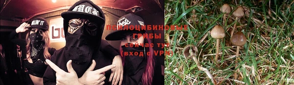 mdpv Арсеньев