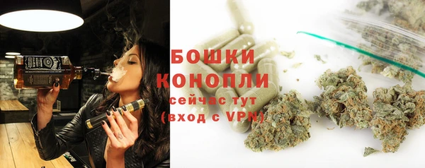 индика Аркадак