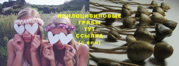 шишки Армянск