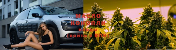 индика Аркадак